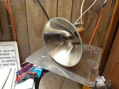 Working justrite Carbide Lamp apocalyptic caving camping hunting 56c lantern